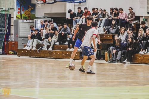 487399523 1233225774899763 1550698609474108898 n