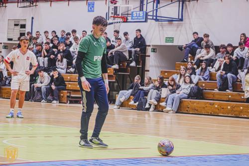 487551907 1233226938232980 4647321505577757989 n