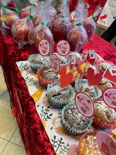 480299427 1196068718615469 703530818866889137 n