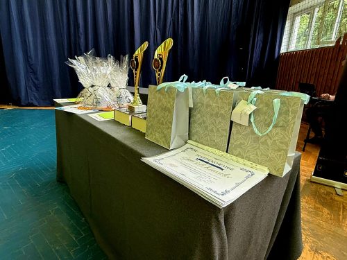 513868208 1302839584605048 7709330018131644094 n